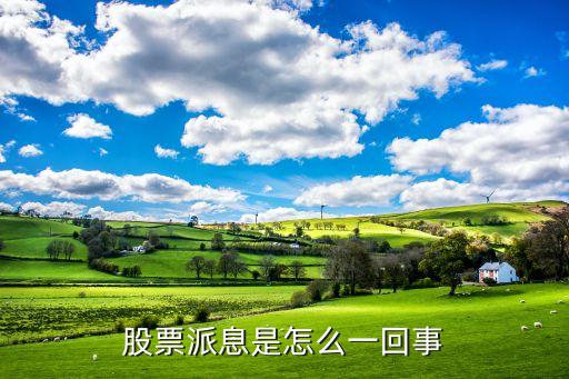 每股派息是什么意思，何為股票派息何為股票除權(quán)日