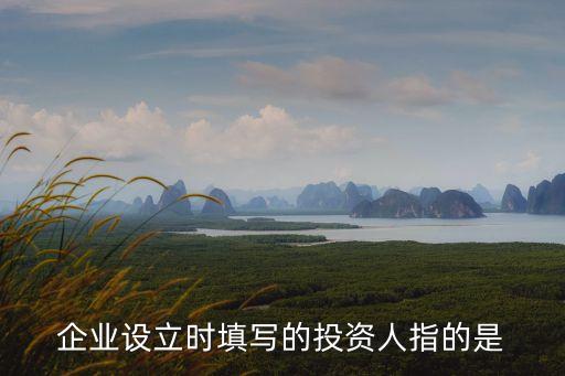 企業(yè)設(shè)立時填寫的投資人指的是