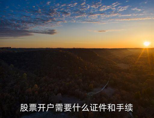 股票開戶需要什么證件和手續(xù)