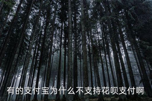 有的支付寶為什么不支持花唄支付啊