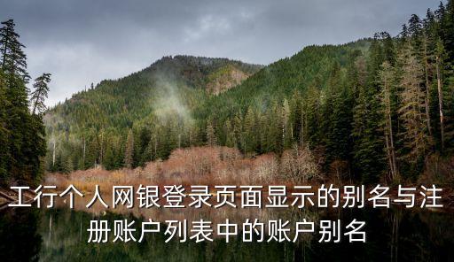 工行個(gè)人網(wǎng)銀登錄頁面顯示的別名與注冊(cè)賬戶列表中的賬戶別名