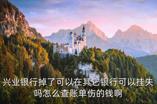 興業(yè)銀行掉了可以在其它銀行可以掛失嗎怎么查賬單傷的錢啊