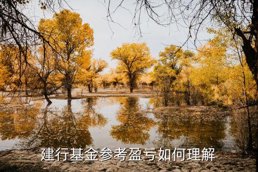 建行基金參考盈虧如何理解