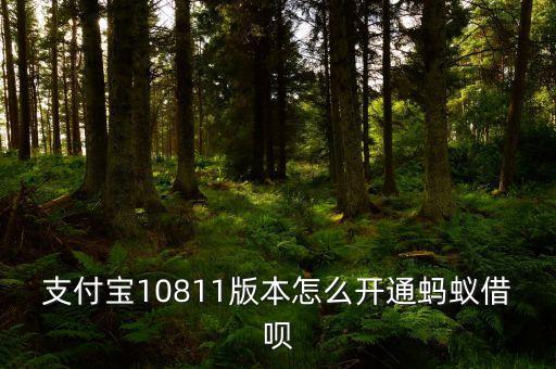 支付寶10811版本怎么開通螞蟻借唄