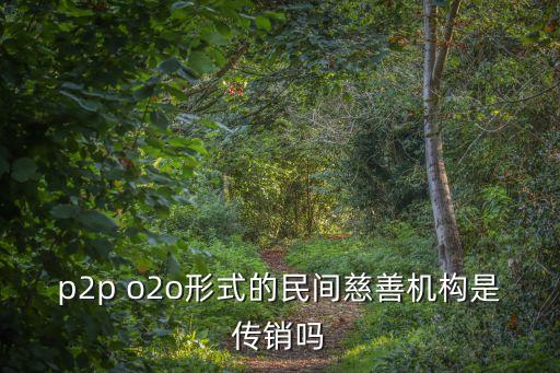 p2p o2o形式的民間慈善機(jī)構(gòu)是傳銷嗎