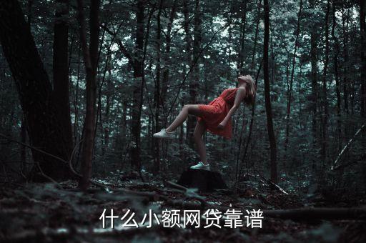 什么小額網(wǎng)貸靠譜