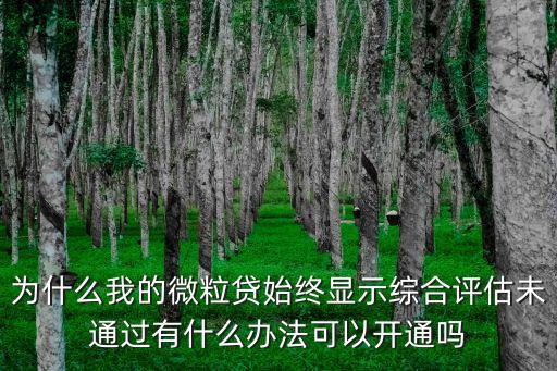 為什么我的微粒貸始終顯示綜合評估未通過有什么辦法可以開通嗎