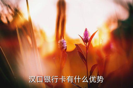 漢口銀行黑卡有什么好，漢口銀行卡有什么優(yōu)勢(shì)