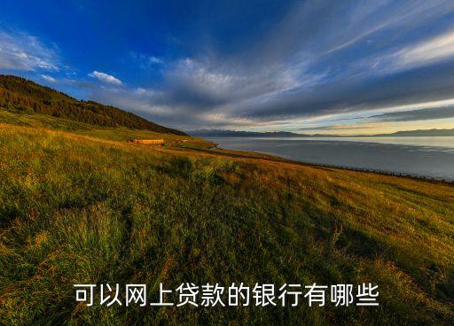 什么銀行好網(wǎng)上貸款公司名稱，親什么銀行可以在網(wǎng)上貸款