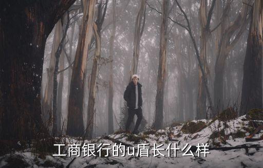 工商銀行的u盾長(zhǎng)什么樣