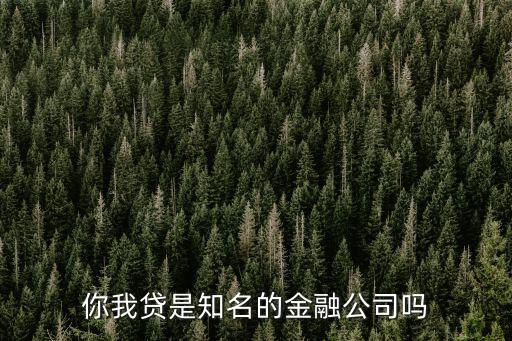 你我貸是知名的金融公司嗎