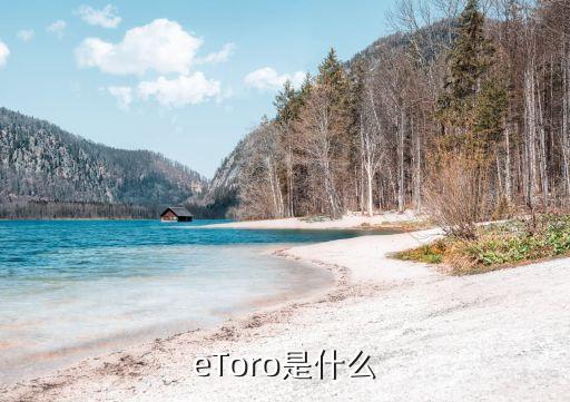 eToro是什么