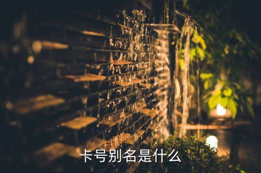 信用卡用戶別名是什么意思，卡號別名是什么