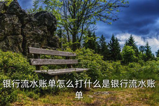 什么是打流水賬單，什么是銀行流水賬單指的是一張銀行卡還是全部銀行卡