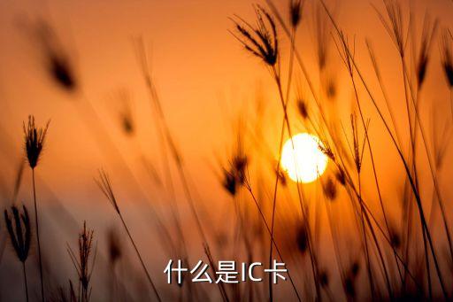 什么是IC卡