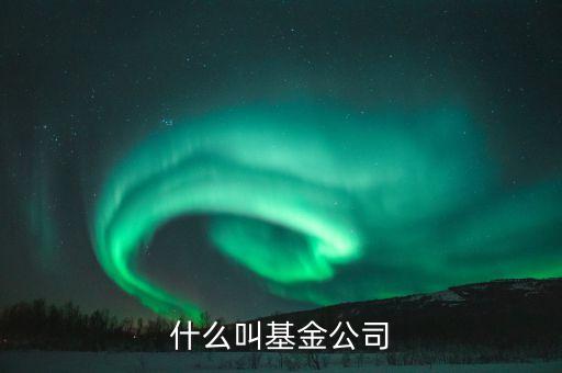 什么叫基金公司