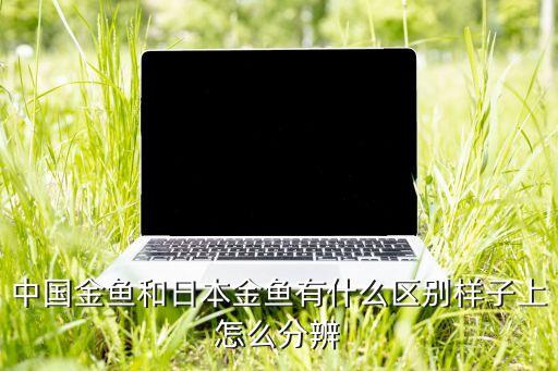 中國金魚和日本金魚有什么區(qū)別樣子上怎么分辨
