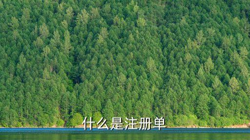 什么是注冊單