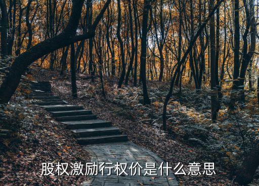 股權(quán)激勵(lì)行權(quán)價(jià)是什么意思