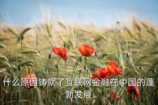 為什么發(fā)展網(wǎng)絡(luò)金融，國家為什么鼓勵互聯(lián)網(wǎng)金融發(fā)展