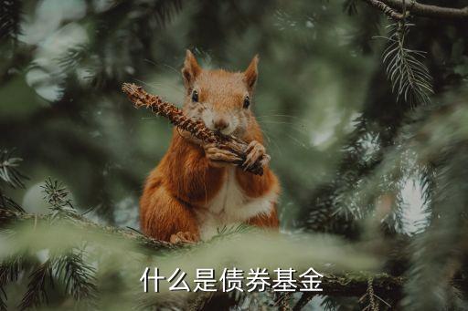 什么是債券基金，什么是債券型基金