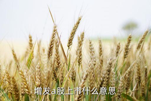 增發(fā)a股上市什么意思