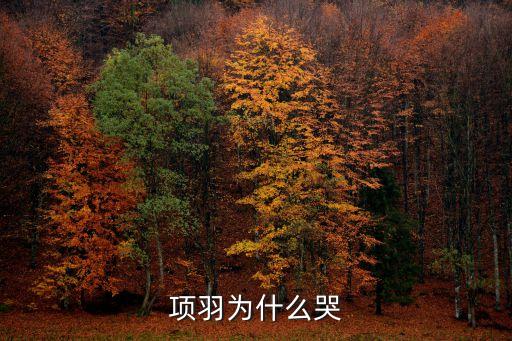 項羽為什么哭