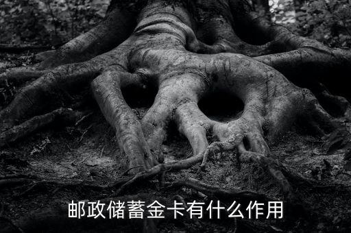 借記卡的金卡有什么用，銀行金卡有什么用
