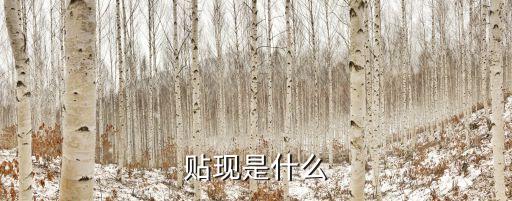 貼現(xiàn)是什么