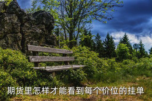 期貨怎么看掛單，期貨炒單的看的成交圖掛單圖是什么