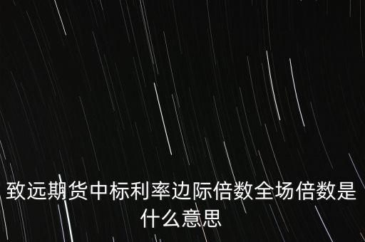 投標(biāo)倍數(shù)是什么意思，致遠(yuǎn)期貨中標(biāo)利率邊際倍數(shù)全場倍數(shù)是什么意思