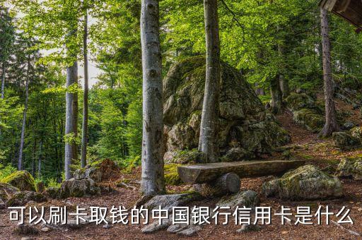 中國銀行信用卡是什么卡，什么是中行信用卡