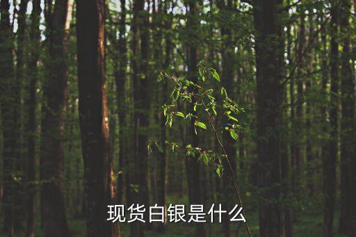 現(xiàn)貨白銀投資是什么，現(xiàn)貨白銀是什么