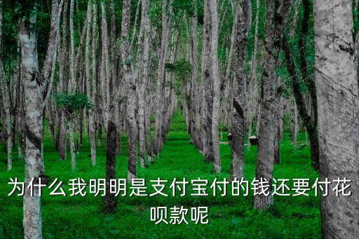 支付寶為什么要用花唄支付，為什么支付寶強行要我用花唄付款