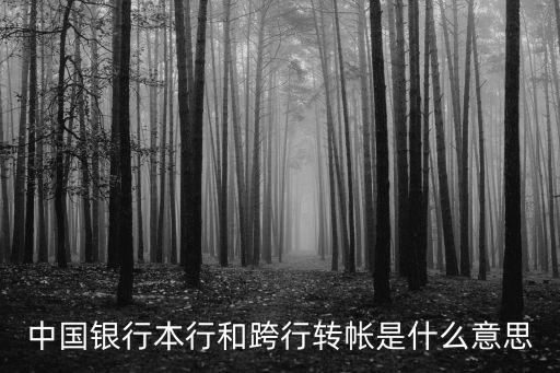 中國銀行本行和跨行轉(zhuǎn)帳是什么意思