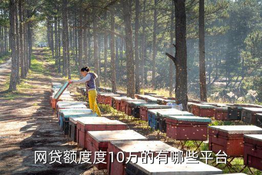 什么app能借10萬，網(wǎng)貸額度度10萬的有哪些平臺(tái)