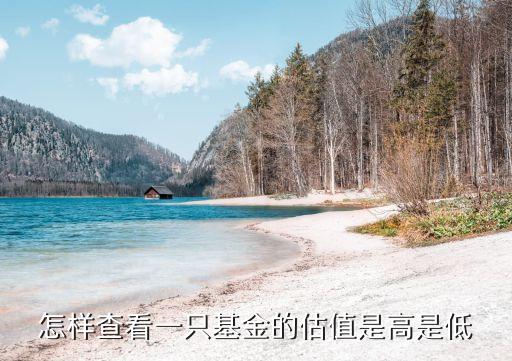 基金怎么看估值日高低，我在中行買了基金想要查詢自己現在的基金價值應該怎么查  搜