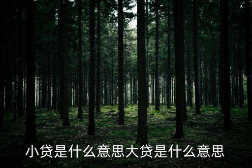小貸公司貸款什么意思，小貸是什么意思大貸是什么意思