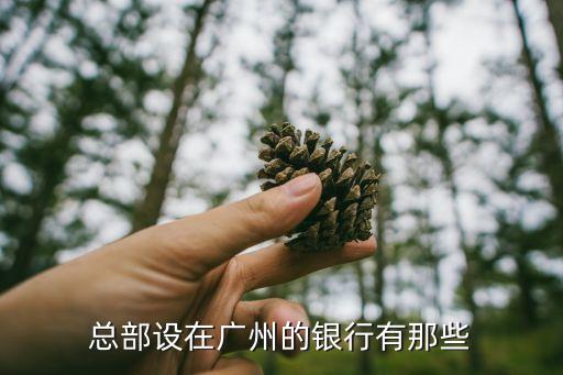 廣州有什么銀行嗎，總部設(shè)在廣州的銀行有那些