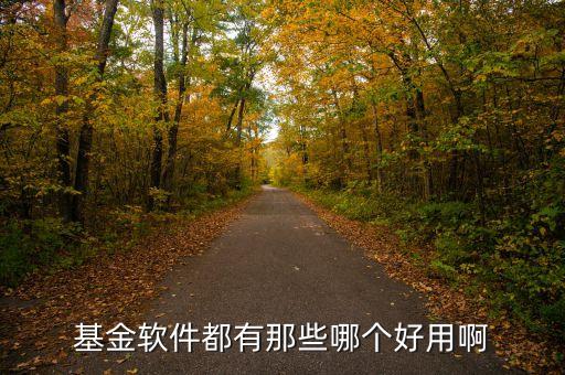 買(mǎi)基金要下什么軟件好，手機(jī)買(mǎi)基金哪個(gè)APP較好用