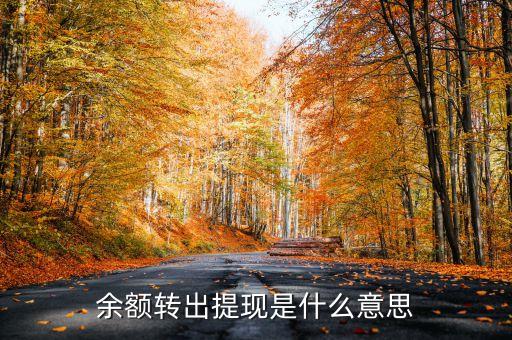 余額轉(zhuǎn)出 提現(xiàn) 是什么意思，支付寶里面帳戶余額轉(zhuǎn)出提現(xiàn)什么意思