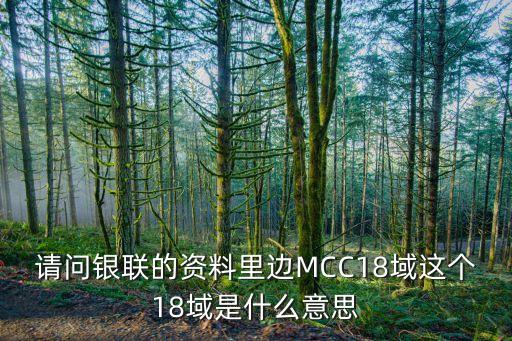 請問銀聯(lián)的資料里邊MCC18域這個18域是什么意思