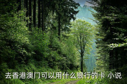 去香港澳門可以用什么銀行的卡 小說