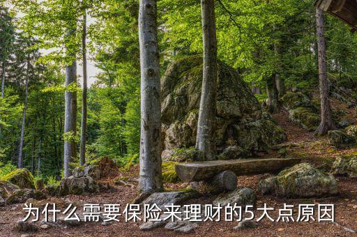 為什么需要保險來理財?shù)?大點(diǎn)原因
