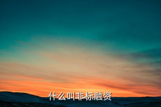 什么叫非標(biāo)融資
