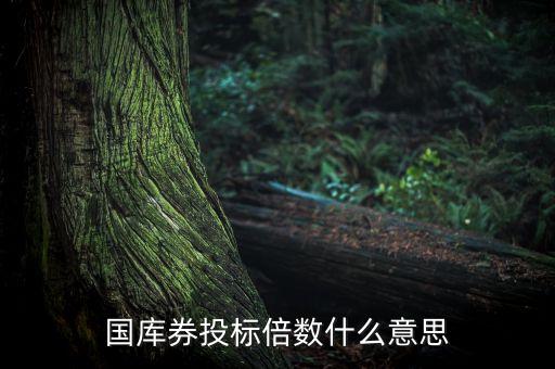 國庫券投標倍數(shù)什么意思