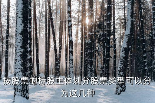 什么是持股類型，股東花名冊中的股東類型是什么意思