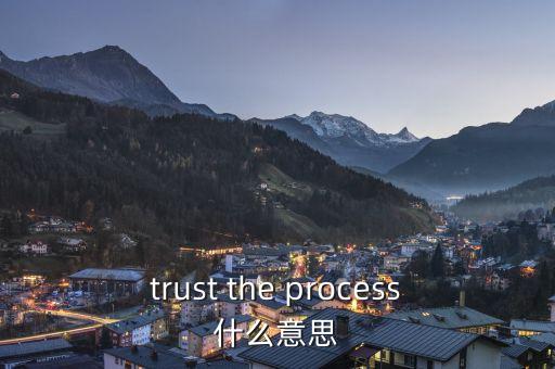 trust the process什么意思