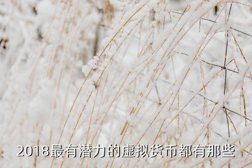數(shù)字貨幣都有什么，2018最有潛力的虛擬貨幣都有那些