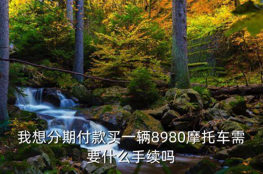 我想分期付款買(mǎi)一輛8980摩托車需要什么手續(xù)嗎